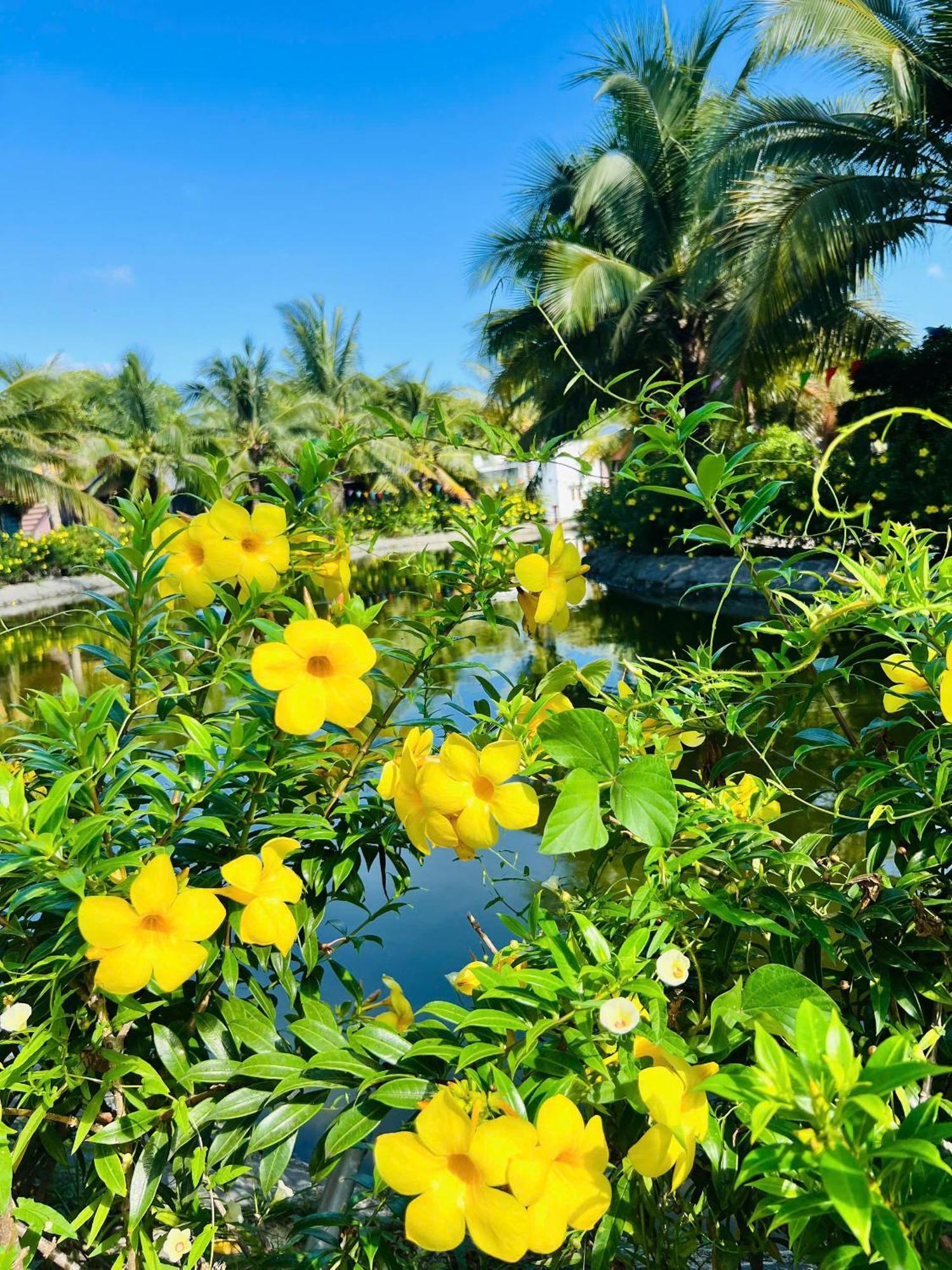 Ho Coc Park & Resort Xa Nhu Lam Luaran gambar