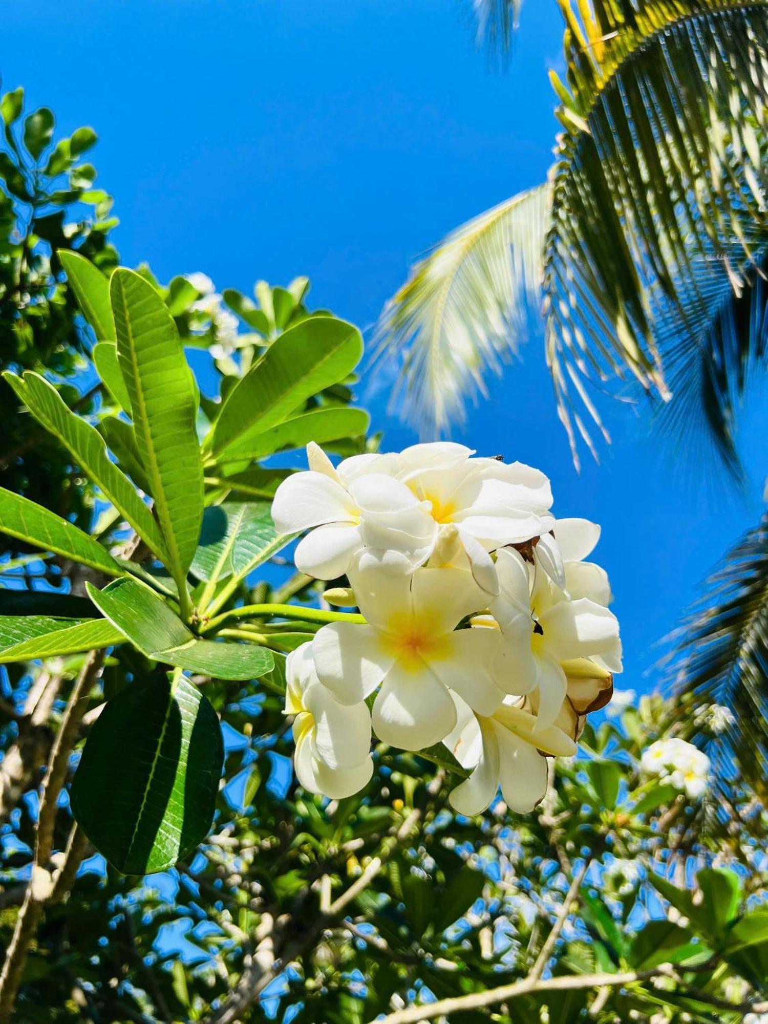 Ho Coc Park & Resort Xa Nhu Lam Luaran gambar